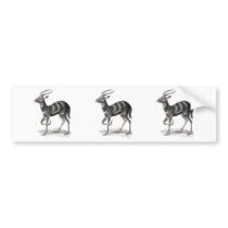 Sitatunga or Marshbuck Bumper Stickers