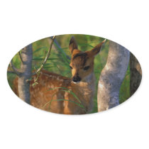 Sitka Blacktailed Fawn Oval Stickers