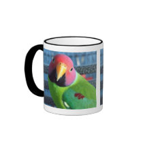 Sittin' Pretty Plum Headed Parakeet Mug