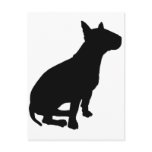 Sitting Bull Terrier postcards