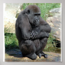 Sitting Gorilla Print