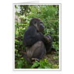 Sitting,maybe thinking,but probably,just sitting cards