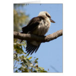 Sitting Pretty Greeting Cards