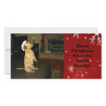 Sitting Pretty Dachshund Christmas Photo Card photo cards