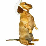 Sitting Pretty Dachshund Sculpture photo sculptures