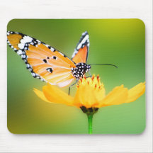 Sitting Pretty Little Butterfly on a Flower Mouse Pads