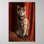 Sitting pretty posters
