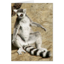 Sitting Ringtail Lemur Greeting Card