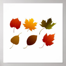 six fall colour leaves nature image graphic.png print