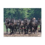 Six-Horse-Team Post Card