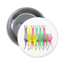six lamas in six llama colours buttons