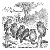 Six Little Owls Sitting on a Broken Down Fence Square Stickers