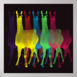 six llamas in six colours