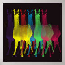 six llamas in six colours