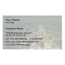 Six Mile Lake Area Vegetation Business Cards