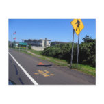 Six Miles to Montauk