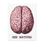 Size Matters Post Card