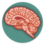 Size Matters stickers