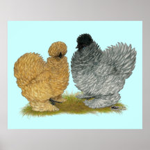 Sizzle Chickens Posters