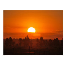 Sizzling sunset postcard