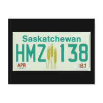 SK81 POSTCARDS