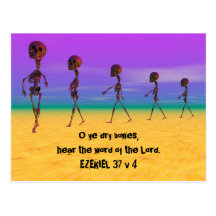 Skallywags Postcard