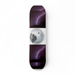 Skate boarding skateboards