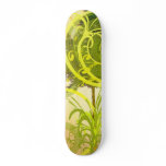 Skate Green skateboards