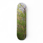 Skate in Nature skateboards