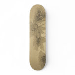 Skate Roses skateboards