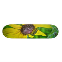 Skateboard Bee and Black Eyed Susan