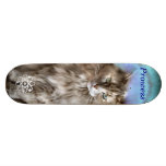 Skateboard Cat