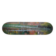 Skateboard Country Reflections