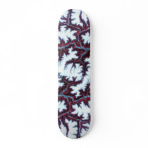 Skateboard / Himalayas