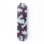 Skateboard / Himalayas