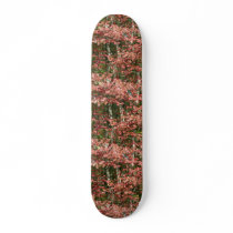 Skateboard / New England Fall