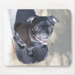 Skateboarding Pug Mousepad (Photo)