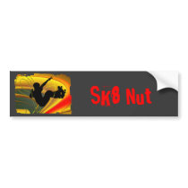 Skateboarding Silhouette in the Bowl