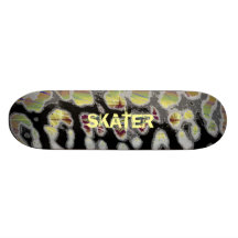 Skater skateboard