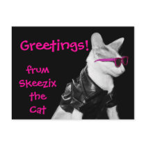 Skeezix the Cat Postcard