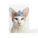 Skeezix wearing tiara cards