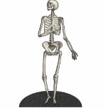 Skeleton Cutout Photosculpture 5x7 Cut Out