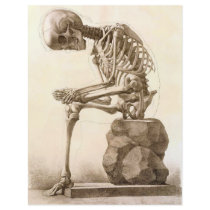 skeleton full color flyer