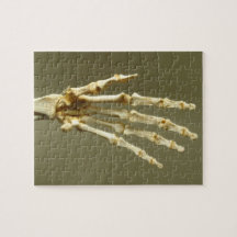 Skeleton Hand Puzzle