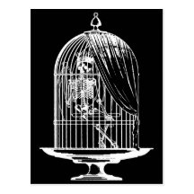 Skeleton in a Birdcage Postcards