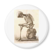 skeleton magnet
