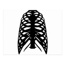 Skeleton Post Cards