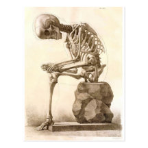 skeleton postcards