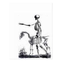 Skeleton skull Halloween Day of the Dead print Post Card