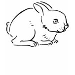 SKETCH BUNNY T SHIRT